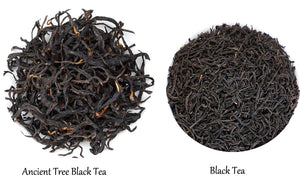 Ancient Tree Black Tea vs Normal Black Tea