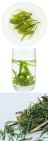 2023 HuangShan MaoFeng Green Tea