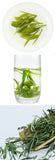 HuangShan MaoFeng Green Tea