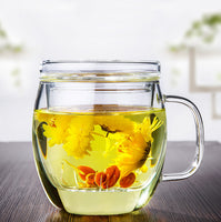 Borosilicate Glass Brewing Teapot Single Cup Tea Brewing 16 oz (with Glass Lid and Infuser)
