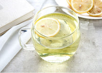 Borosilicate Glass Brewing Teapot Single Cup Tea Brewing 16 oz (with Glass Lid and Infuser)