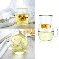 Borosilicate Glass Brewing Teapot Single Cup Tea Brewing 16 oz (with Glass Lid and Infuser)