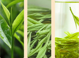BREW_GREEN_TEA
